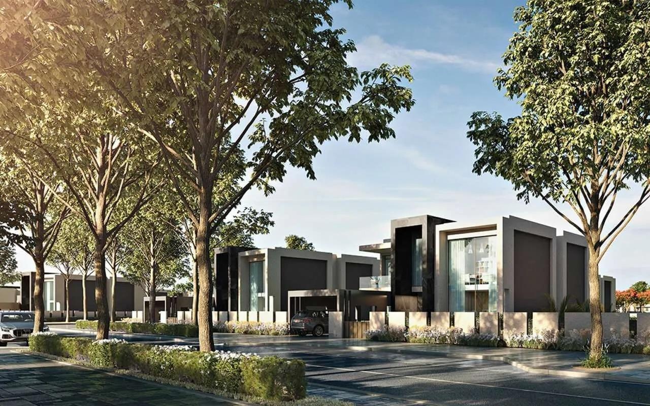 HOT DEAL | Single Row | Huge Plot