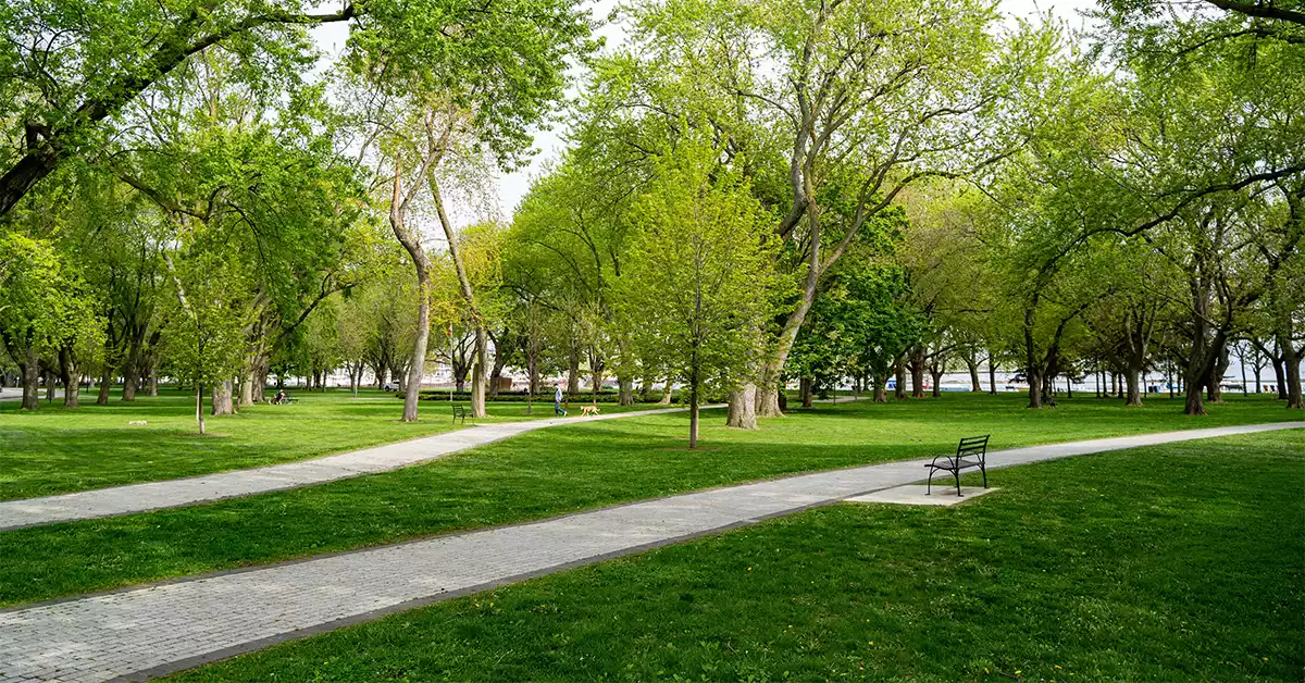 Fay Park