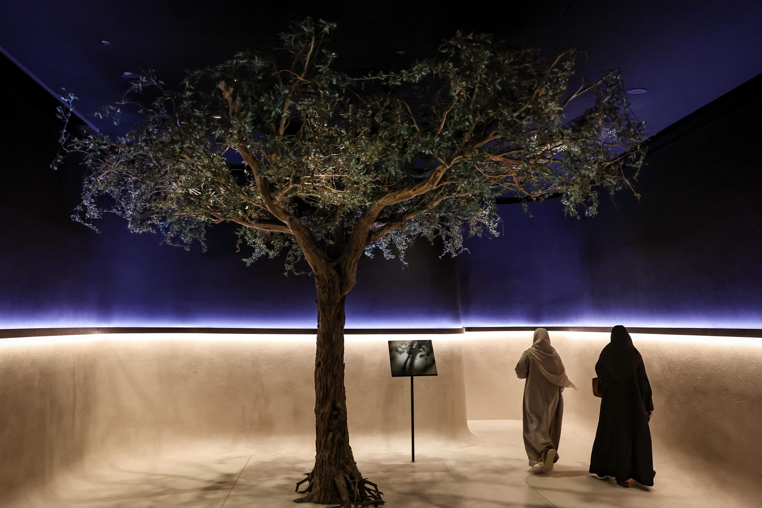 Zayed National Museum
